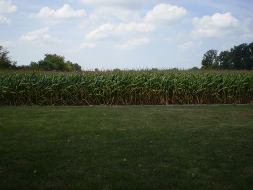 Property photo 7 - 40 Acres in 4 Tracts - Great Location!